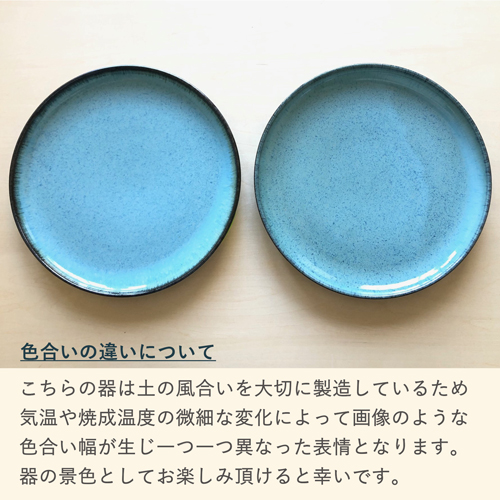 NT2011SZ05-BL