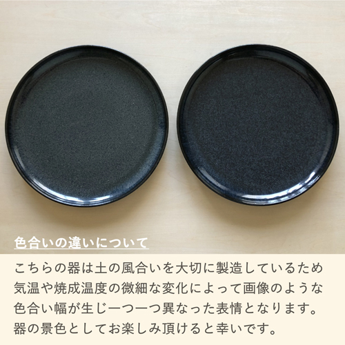 NT2011SZ06-BK