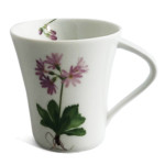 谷川岳高山植物図鑑ノ器　マグカップ　ハクサンコザクラ（白山小桜）