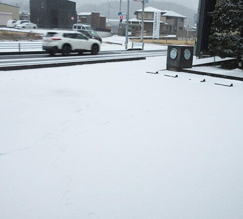 朝から大雪