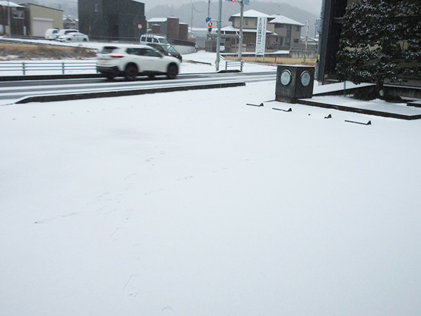 朝から大雪