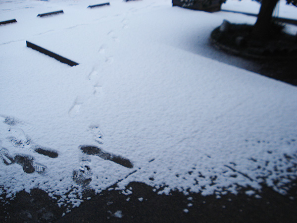 雪にご注意ください