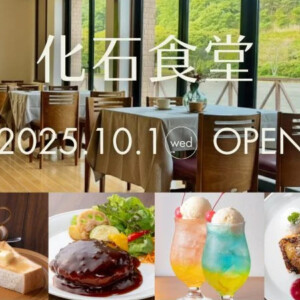 瑞浪市 化石食堂にて深山のうつわをお使い頂いてます！