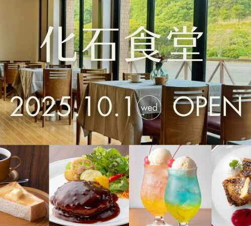 瑞浪市 化石食堂にて深山のうつわをお使い頂いてます！