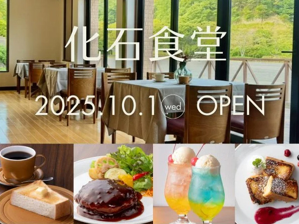 瑞浪市 化石食堂にて深山のうつわをお使い頂いてます！