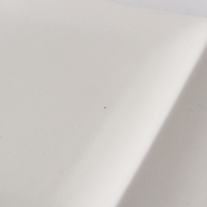 isola（イゾラ）パレットプレートL　白マット〈限定色〉窯変イメージ